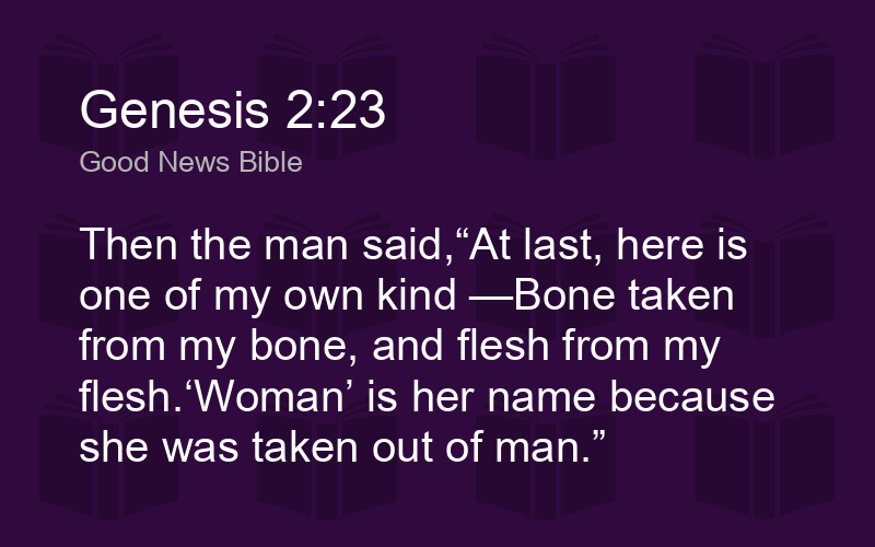 Genesis 2:23 with Sheets